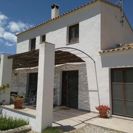 Mas Dels Bonos Konuk evi Deltebre Dış mekan fotoğraf